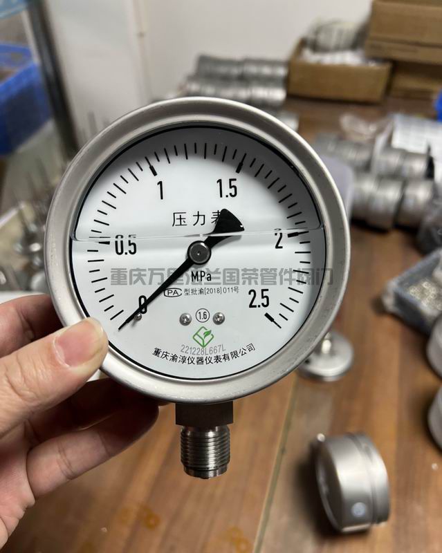 渝淳耐震压力表(图3)
