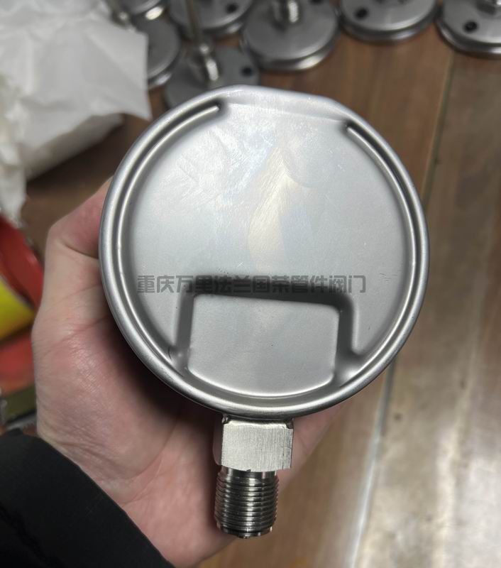 渝淳耐震压力表(图4)