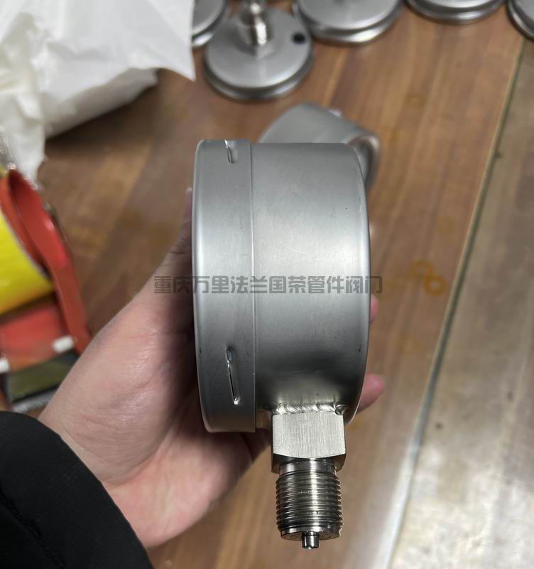 渝淳耐震压力表(图5)