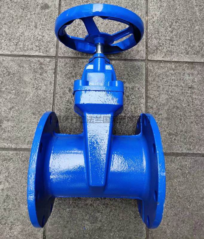 Z45X-16Q球墨铸铁暗杆软密封法兰闸阀 QT450(图7)