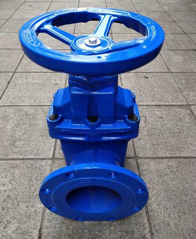 Z45X-16Q球墨铸铁暗杆软密封法兰闸阀 QT450(图10)