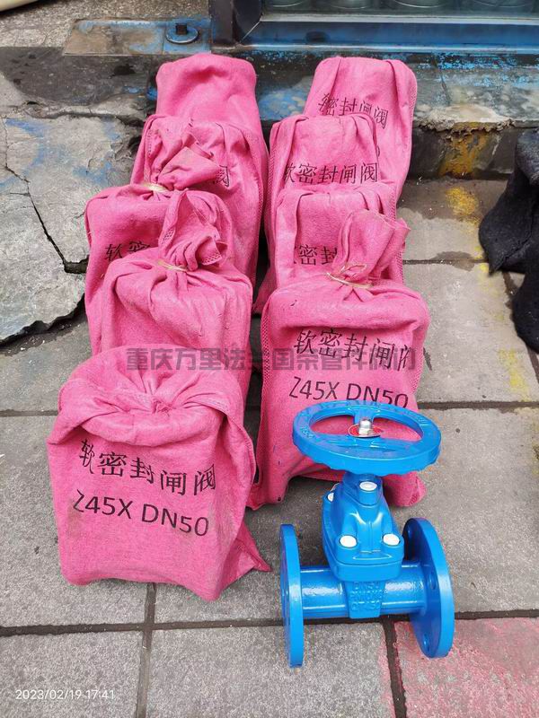 Z45X-16Q球墨铸铁暗杆软密封法兰闸阀 QT450(图3)