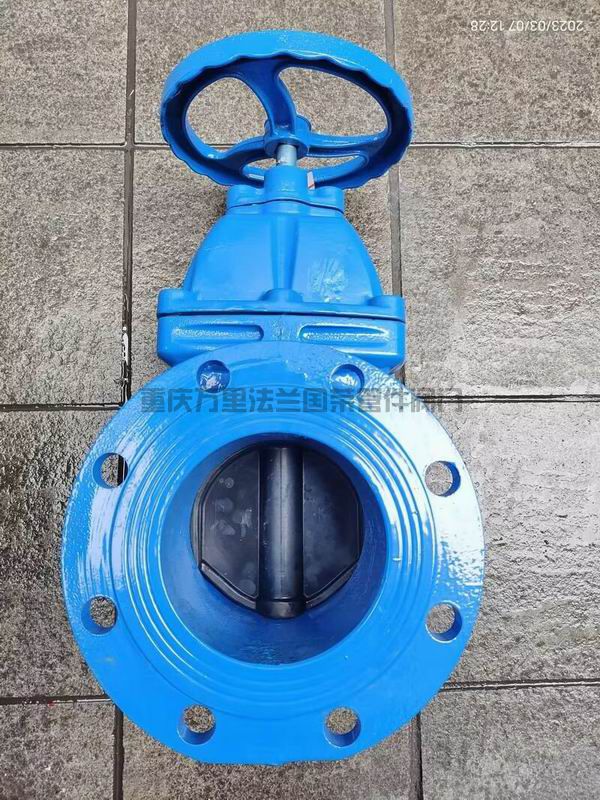 Z45X-16Q球墨铸铁暗杆软密封法兰闸阀 QT450(图12)