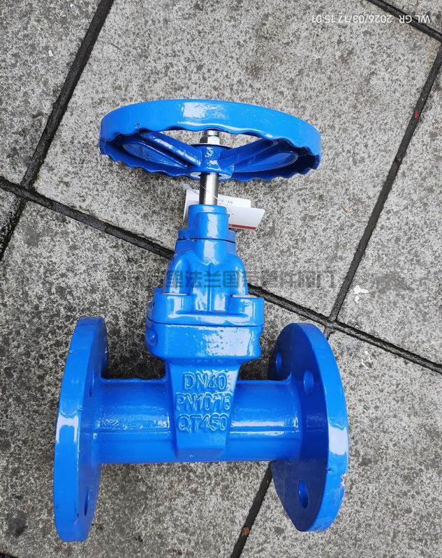 Z45X-16Q球墨铸铁暗杆软密封法兰闸阀 QT450(图1)