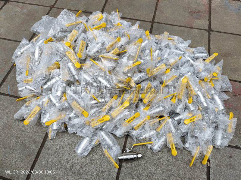 不锈钢内螺纹卡套气源球阀 (图6)