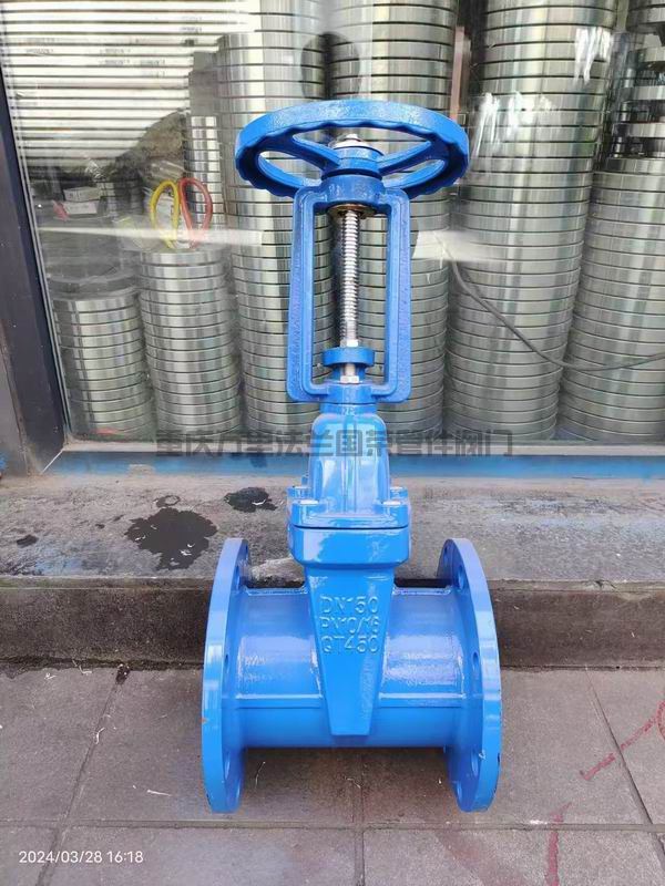 软密封明杆法兰闸阀Z41X-16Q(图2)