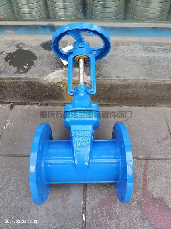 软密封明杆法兰闸阀Z41X-16Q(图1)