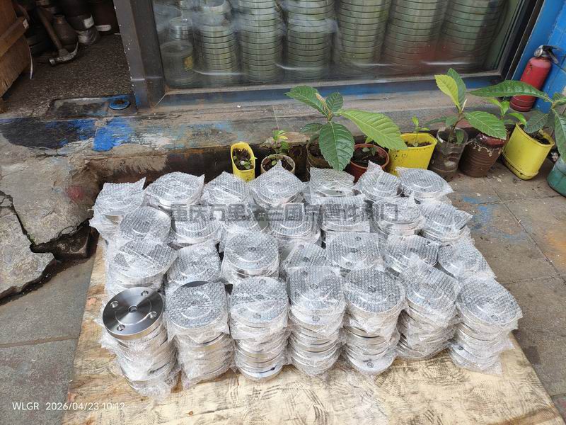 重庆不锈钢S30408/06Cr19Ni10非标法兰走一批(图6)