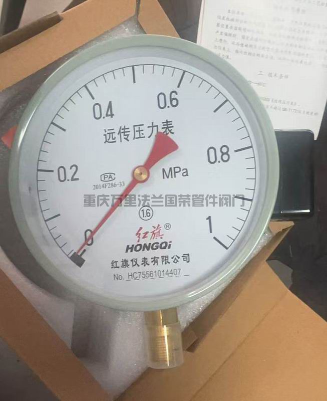 红旗远传压力表 (图1)