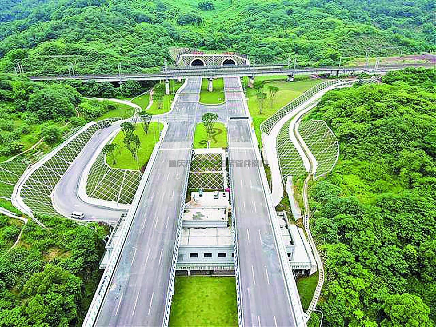 2026年6月8日起西部公司新开D486/D289公交大站快车（西彭-毛线沟）正式运行；486常规车不变动。(图1)