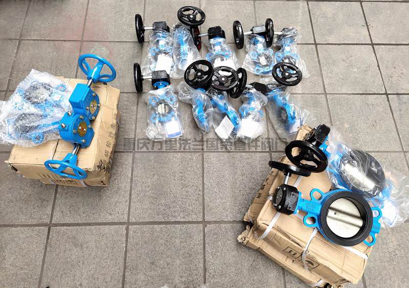 D371X-16Q球墨铸铁软密封对夹涡轮蝶阀(图1)