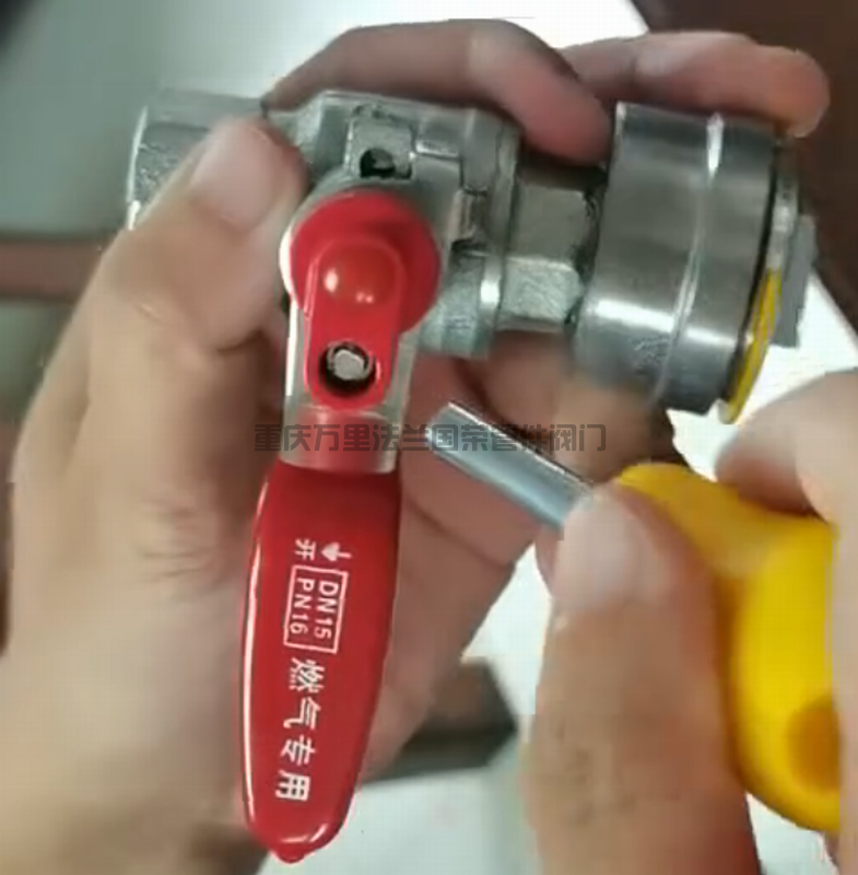 表接头带锁止回球阀 螺纹连接球阀DN15HS(图6)
