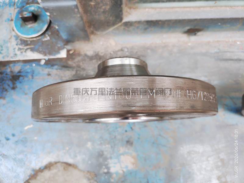 碳钢20# 带颈对焊法兰 (图11)