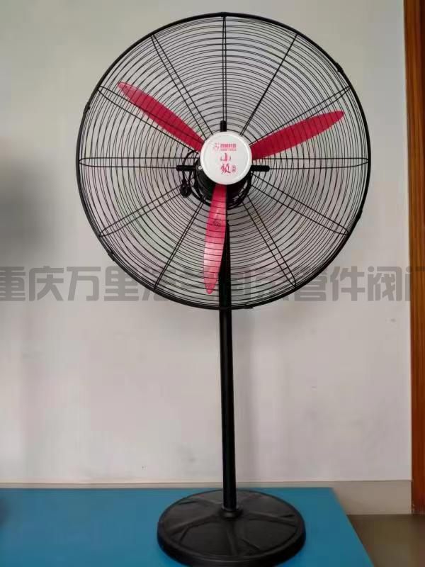 重庆风扇(图3)