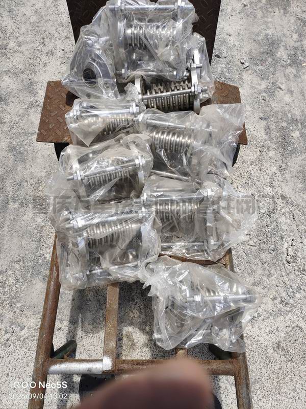 不锈钢法兰波纹管补偿器  伸缩器(图6)
