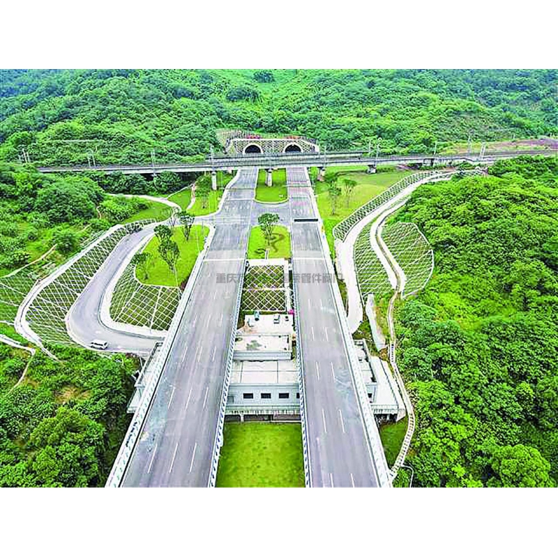 2026年6月8日起西部公司新开D486/D289公交大站快车（西彭-毛线沟）正