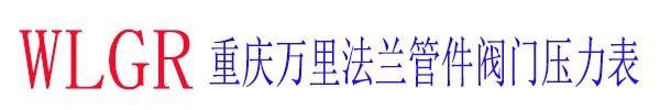 重庆万里法兰国荣管件阀门压力表